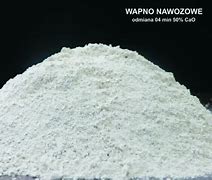 Image result for wapno