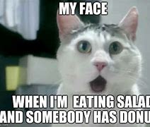 Image result for Salad Cat Meme