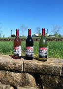 Image result for Equus Run Chardonnay Kentucky Derby 132