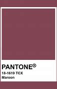 Image result for Maroon Pantone