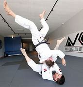 Image result for Brazilian Ju Jitsu North South
