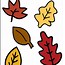 Image result for Fall Maple Leaves