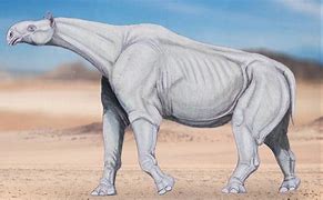 Image result for Biggest Animal to Walk the Earth
