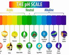 Image result for pH Scale Diagram