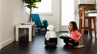 Image result for Domestic Robots