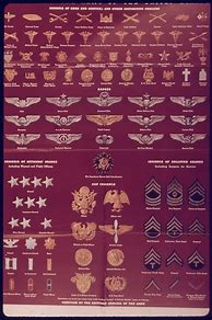 Image result for Military Ranks Chart Comparison