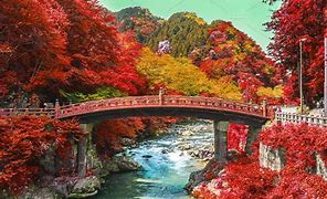 Image result for Japan Nature Autumn