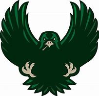 Image result for Cool Hawk Logo