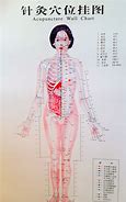 Image result for Acupuncture Points Front of Body
