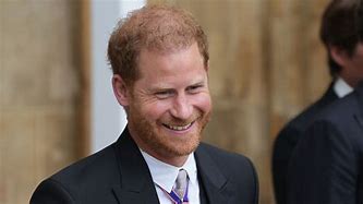 Image result for Prince Harry Vivlio