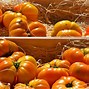 Image result for Tomato