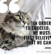 Image result for Motivational Cat for Success