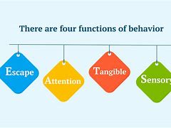 Image result for 4 Functions of Behavior