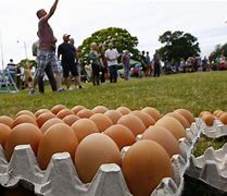 Image result for Egg Toss and Catch