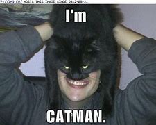 Image result for Cat Man Meme