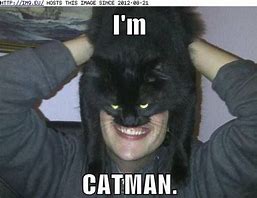 Image result for Cat Guy Meme