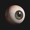 Image result for Real Human Eye