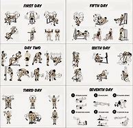 Image result for 30-Day Gym Workout Plan