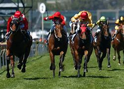 Image result for Race Horse Phto Finish