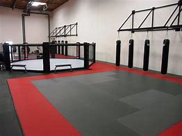 Image result for MMA Training Gear
