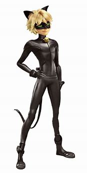 Image result for Miraculous Ladybug Cat Noir Body
