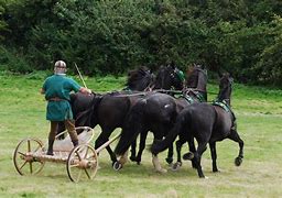 Image result for Roman Charioteer