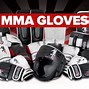 Image result for MMA Grappling Gloves