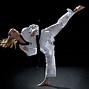Image result for Karate Aesthetic