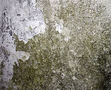 Image result for Dirty Wall Texture HD