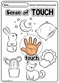 Image result for Preschool Five Senses Activities