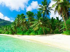 Image result for Beach Green Isles in Lagoon