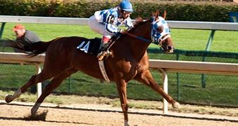 Image result for Horse Racing Movies Based On True Story