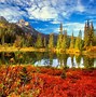 Image result for Cool Nature Screensavers