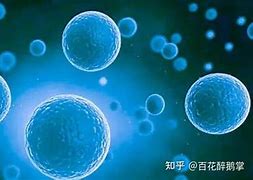 Image result for 药动
