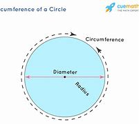 Image result for 88 Cm in Circumfrence