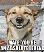 Image result for Funny Pic of Your a Legend