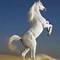 Image result for Running Horse with White Background