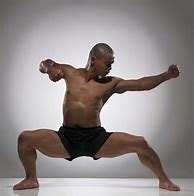 Image result for Male Full Body Martial Arts Poses