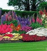 Image result for Unusual Flower Gardens
