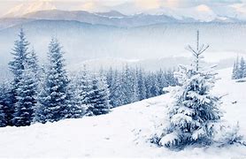 Image result for Ultra HD White Winter Walpaper for PC
