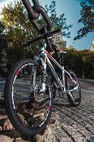 Image result for Shimano Nexus 8 Upright