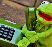 Image result for Kermit the Frog Lines