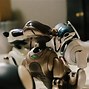 Image result for Aibo for Sale