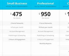 Image result for Social Media Marketing Pricing Chart