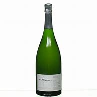 Image result for Jacques Selosse Champagne Blanc Blancs Brut Millesime