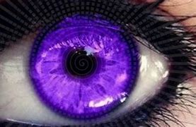 Image result for Purple Eye Sergeri