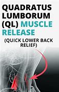 Image result for QL Muscle Pain Symptoms