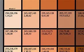 Image result for RGB Color Chart Skin Tone