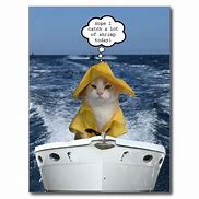 Image result for Fisherman Hat Cat Meme