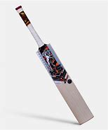 Image result for HS 20K Cricket Bat